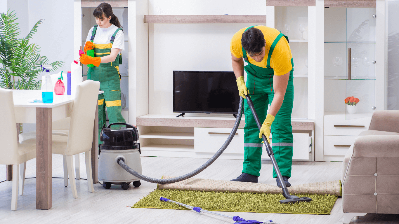 Carpet cleaning services