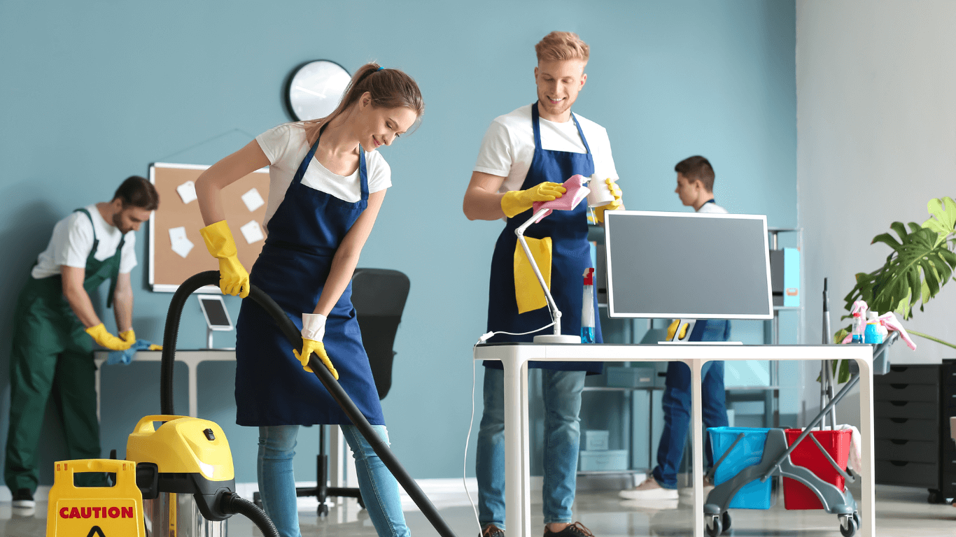 Professional Cleaning Services