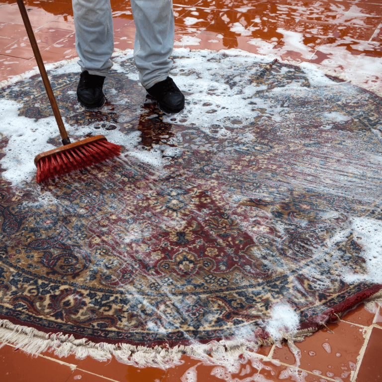 Rug cleaning service