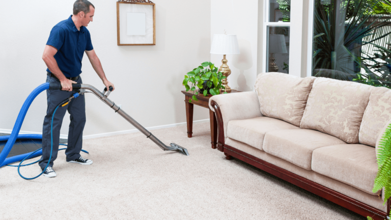 professional Rug cleaning services
