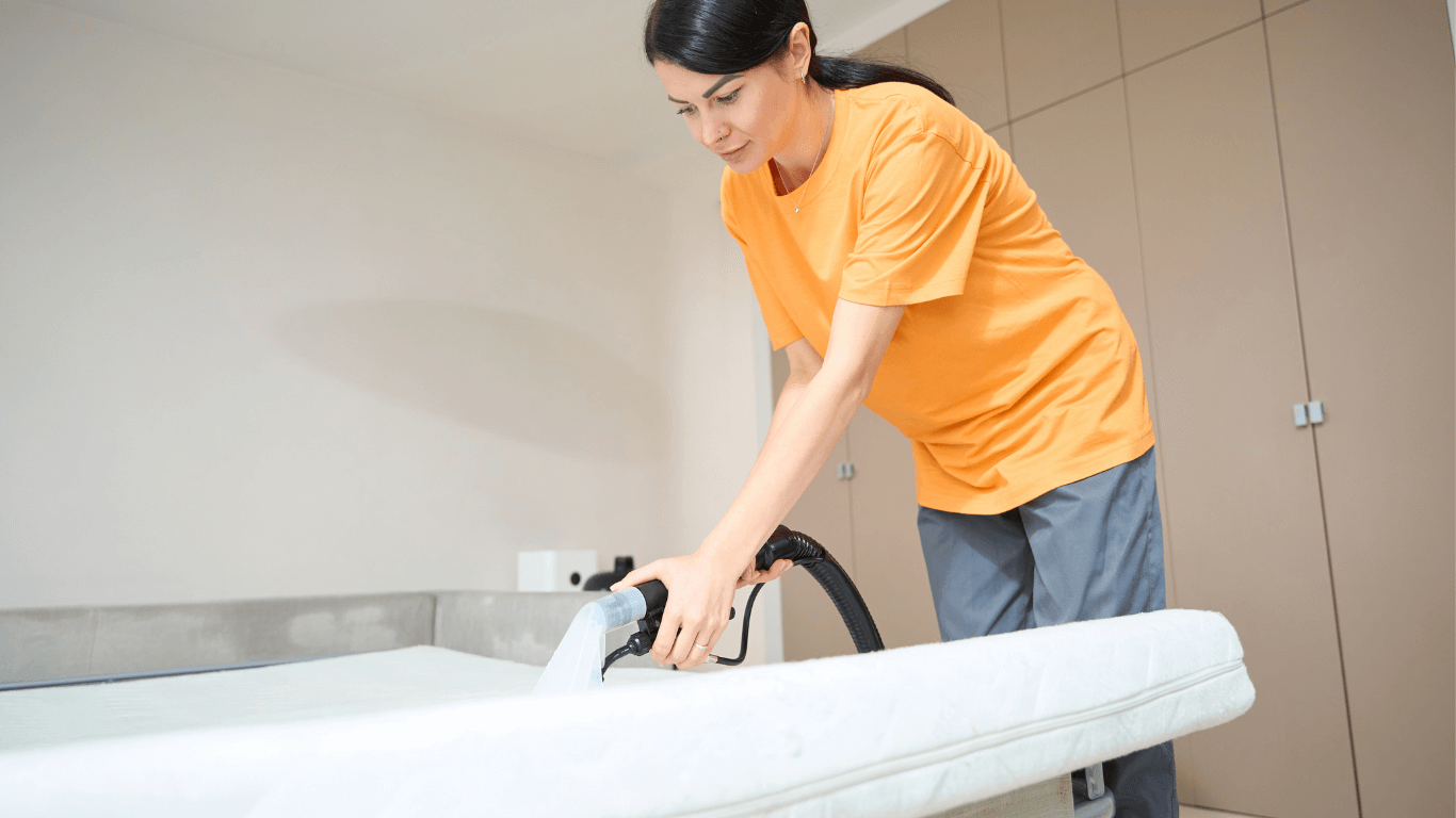 professional mattress cleaning services