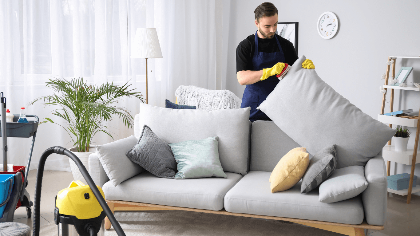 professional sofa cleaning services