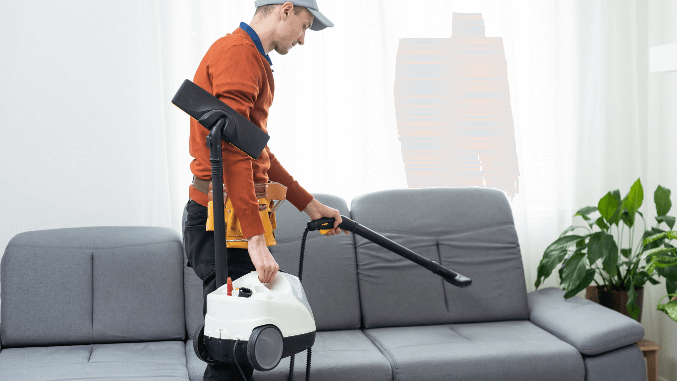 professional upholstery cleaning services