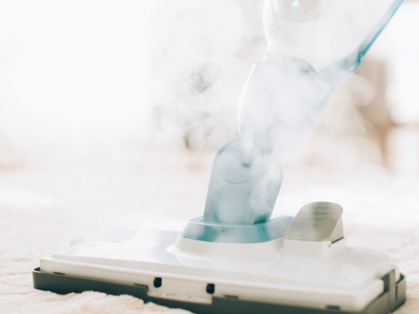 Steam cleaning service