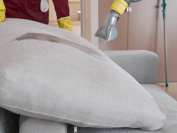 sofa cleaning process